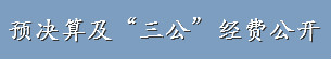 预决算及“三公”经费公开.jpg